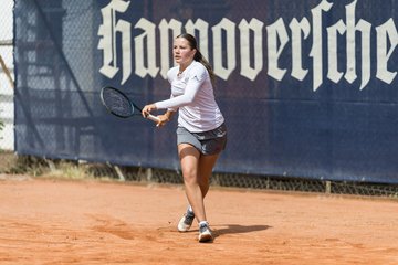 Bild 292 - BL DTV Hannover - BW Dresden Blasewitz : Ergebnis: 2:7